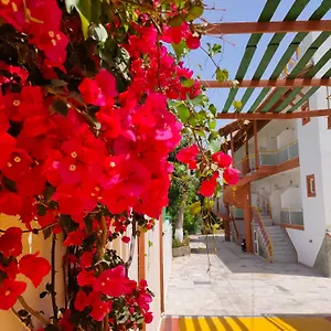 Apartment Evli